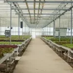 Nature Harvest Farms India