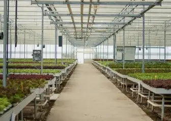 Nature Harvest Farms India