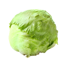 Lettuce