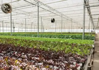 fanpad system in greenhouse