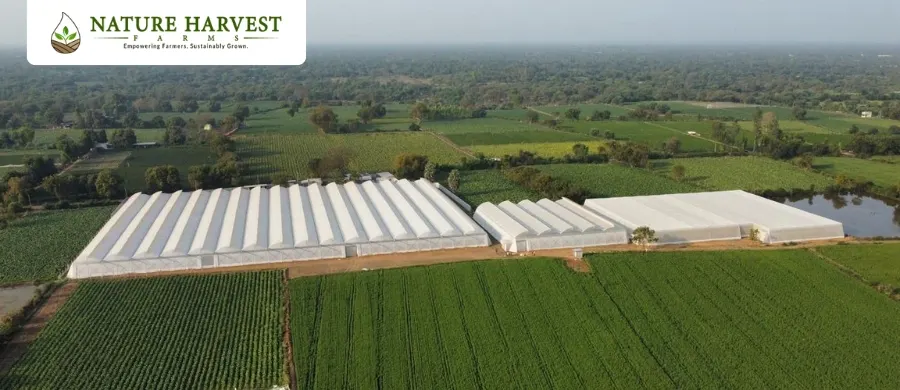 Controlled Environment Agriculture