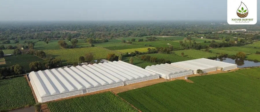 Modern agriculture technology