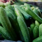 hydroponic vegetables supplier