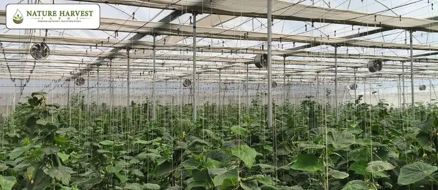 Experience Fresh Farming Today