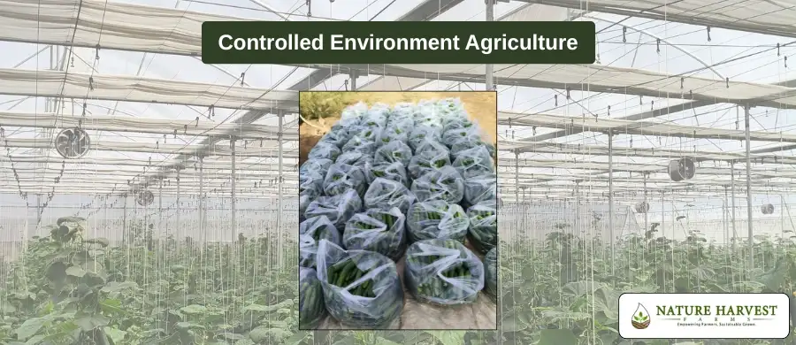 benefits of controlled environment agriculture