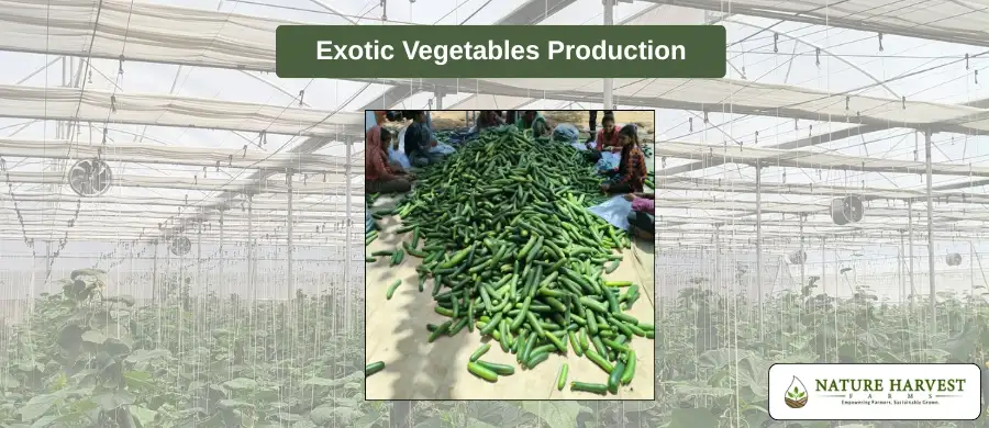 controlled environment agriculture