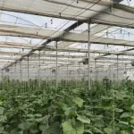 controlled environment farming