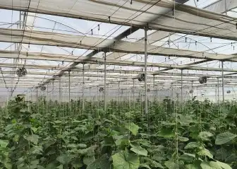 controlled environment farming