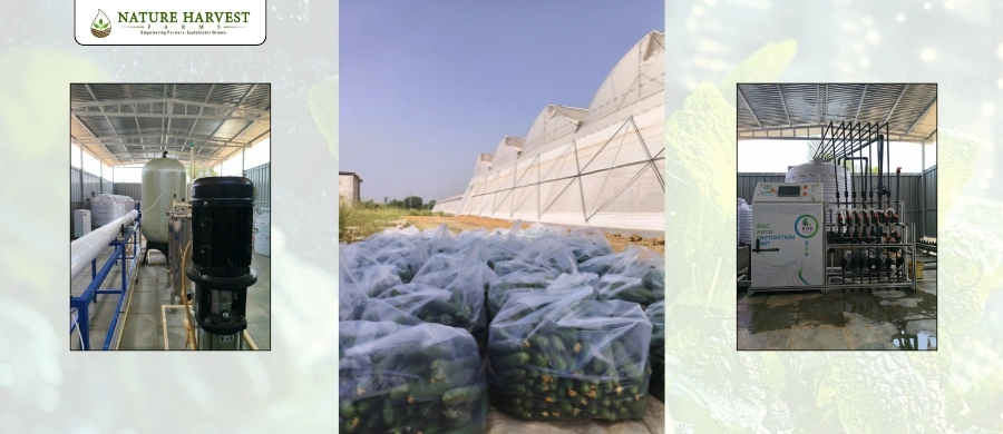 controlled environment farming