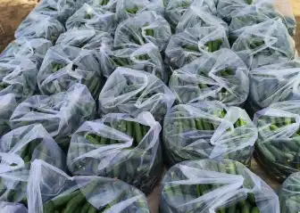 fresh vegetables from controlled farms