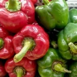 fresh capsicum benefits