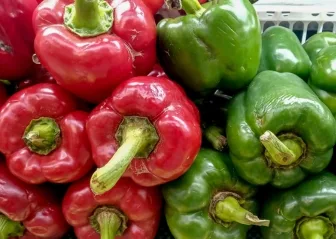 fresh capsicum benefits