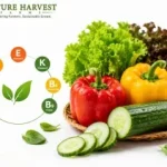 Vitamin rich vegetables