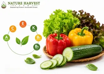 Vitamin rich vegetables