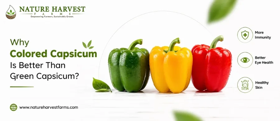 colored capsicum benefits