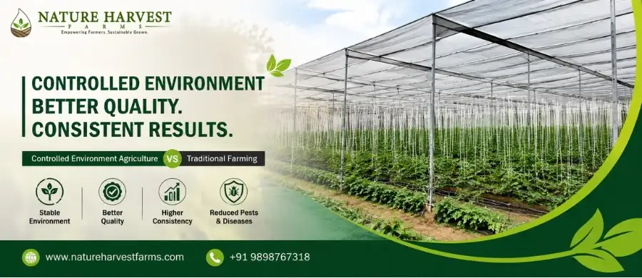 controlled environment agriculture