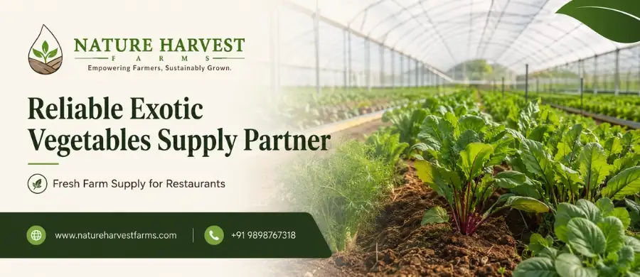 exotic vegetables supplier for restaurants