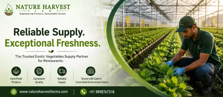 exotic vegetables supplier