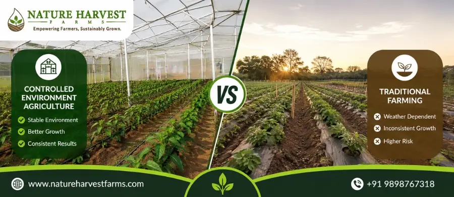 traditional farming vs controlled environment agriculture